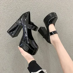 Woman High Heels Shoes 12cm French Mary Jane Shoes Thick Heel 2025 New Waterproof Platform Super Single Shoes Sandalias De Tacón