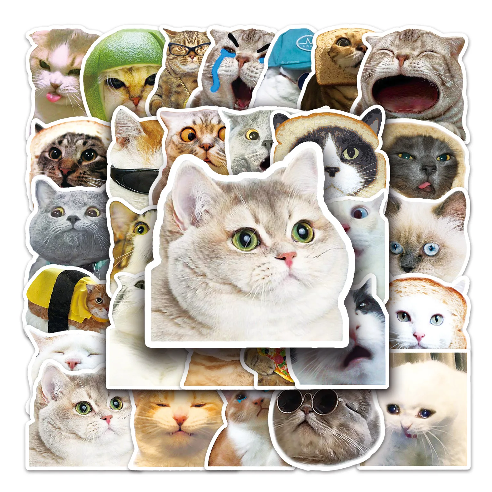 

50Pcs Funny Cat Meme Stickers Hilarious Kitten Decor for Laptop Bottle Journal Cat Lovers Gifts