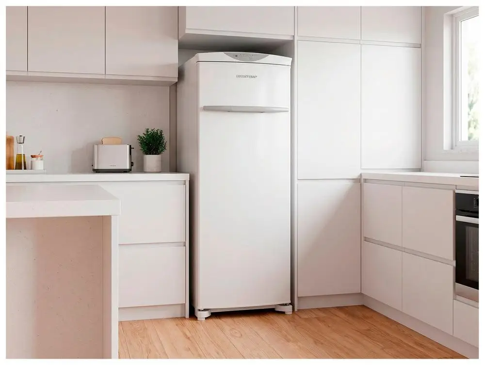Freezer Vertical Brastemp 276L 1 Porta Frost Free BVR28PB - 110V