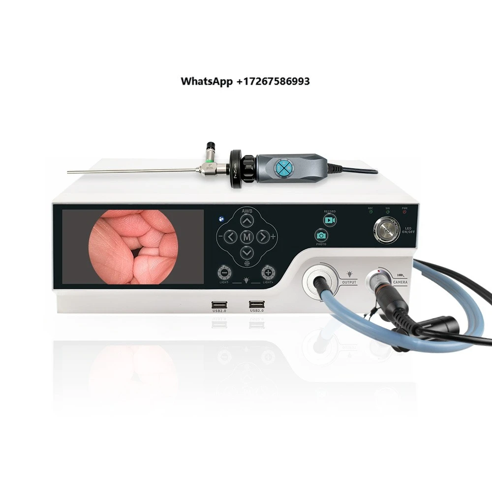 Veterinary endoscope price list (1080P resolution, 6-inch screen, cold LED light source, USB recording function)