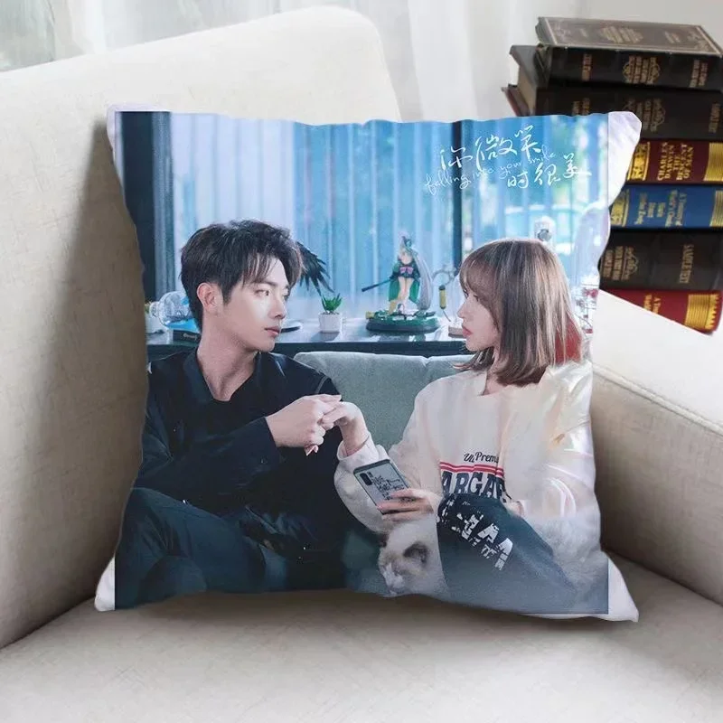 Xu Kai Cheng Xiao HD Poster Double-sided Printed Pillowcase TV Falling Into Your Smile Drama Stills Home Car Decor Cushion Cover