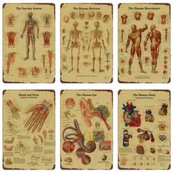 Anatomia e anatomia il segno di latta in metallo della struttura del corpo, Poster retrò scheletro, stanza Vintage, decorazioni mediche, pittura di arte della parete