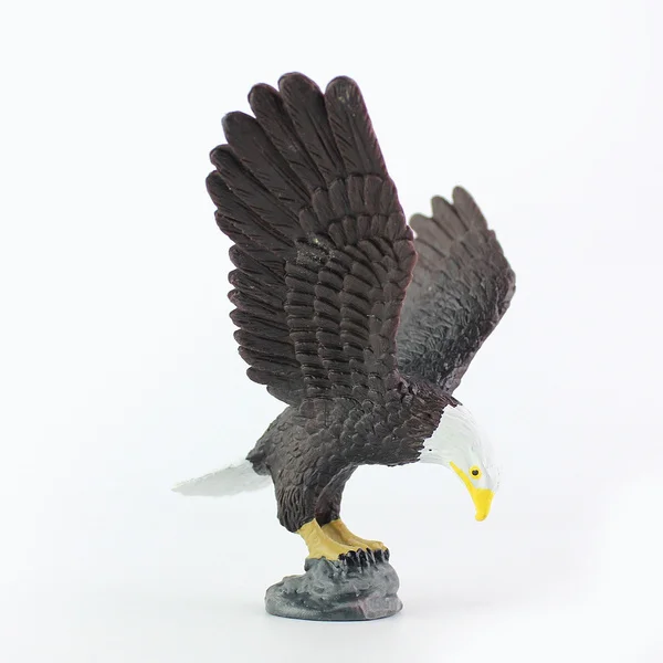 Simulation Eagle model wild animal bird toy plastic children's toys science and Education Cognitive Ornament Gift