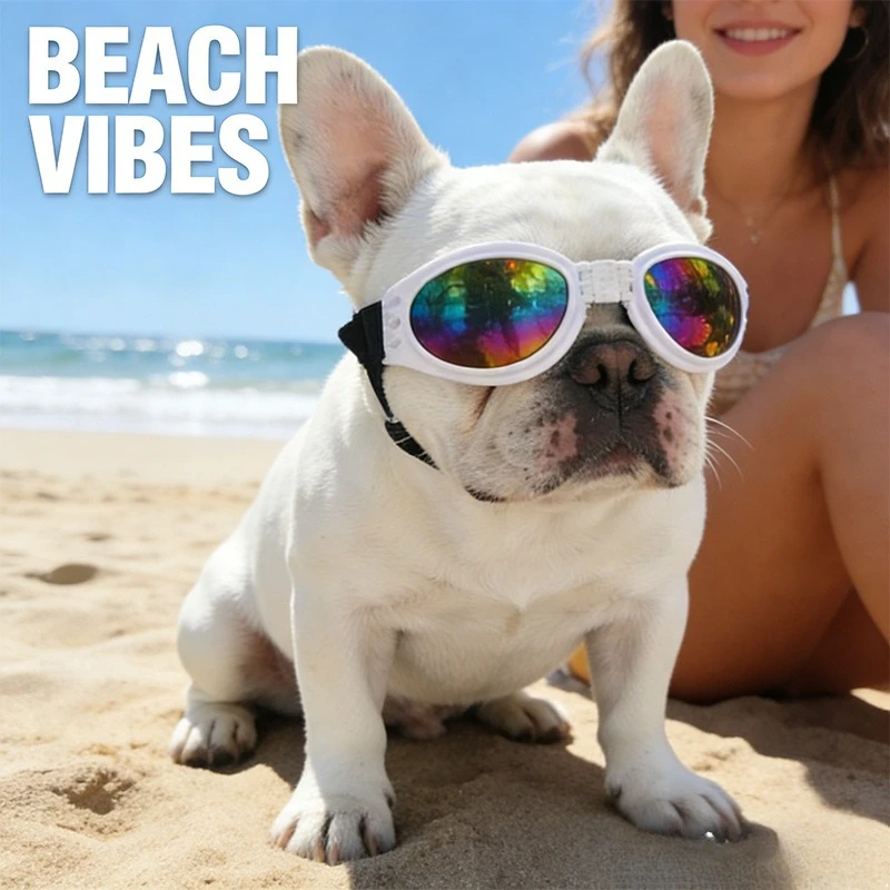 Foldable Pet Sunglasses Windproof UV Protection Goggles Dust‑proof Eye Protector for Dogs Cats Outdoor Pet Accessories