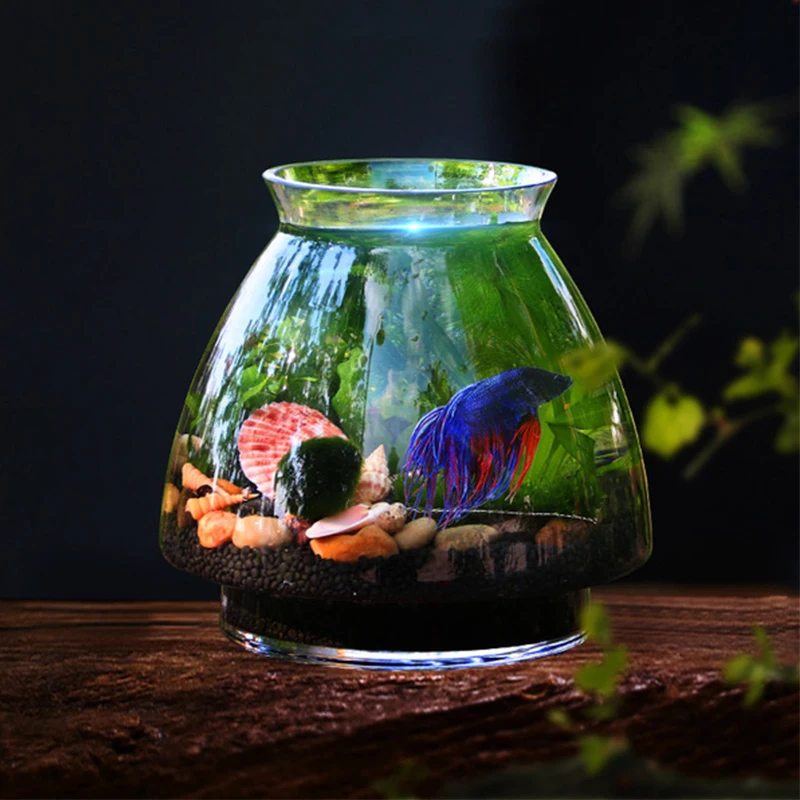 Mini Beta Fish Tank Aquarium Bottles 2
