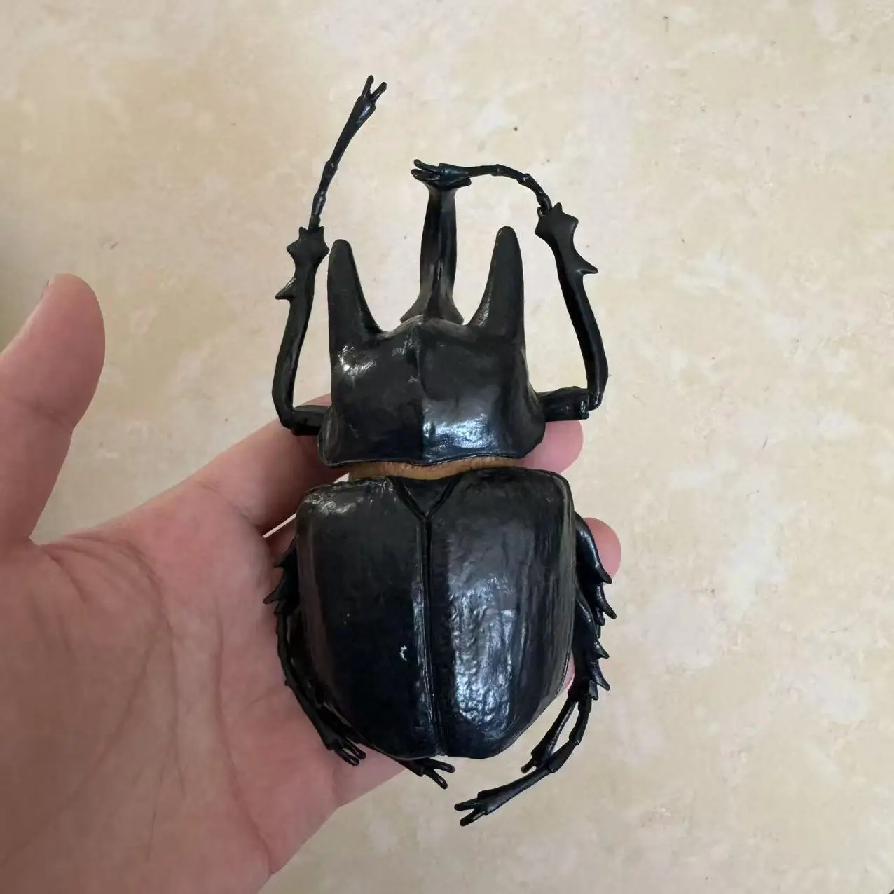 Biographical Analysis of Deer Antler Beetle and Claw Shaped Insect Beetle Gacha Simulation Animal Movable Joints Figure Toys