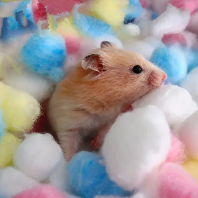 100Pcs Colorful Cotton Balls Small Animals Toys For Hamster Rat Mouse Nesting Material Winter Keep Warm House Filler Supply