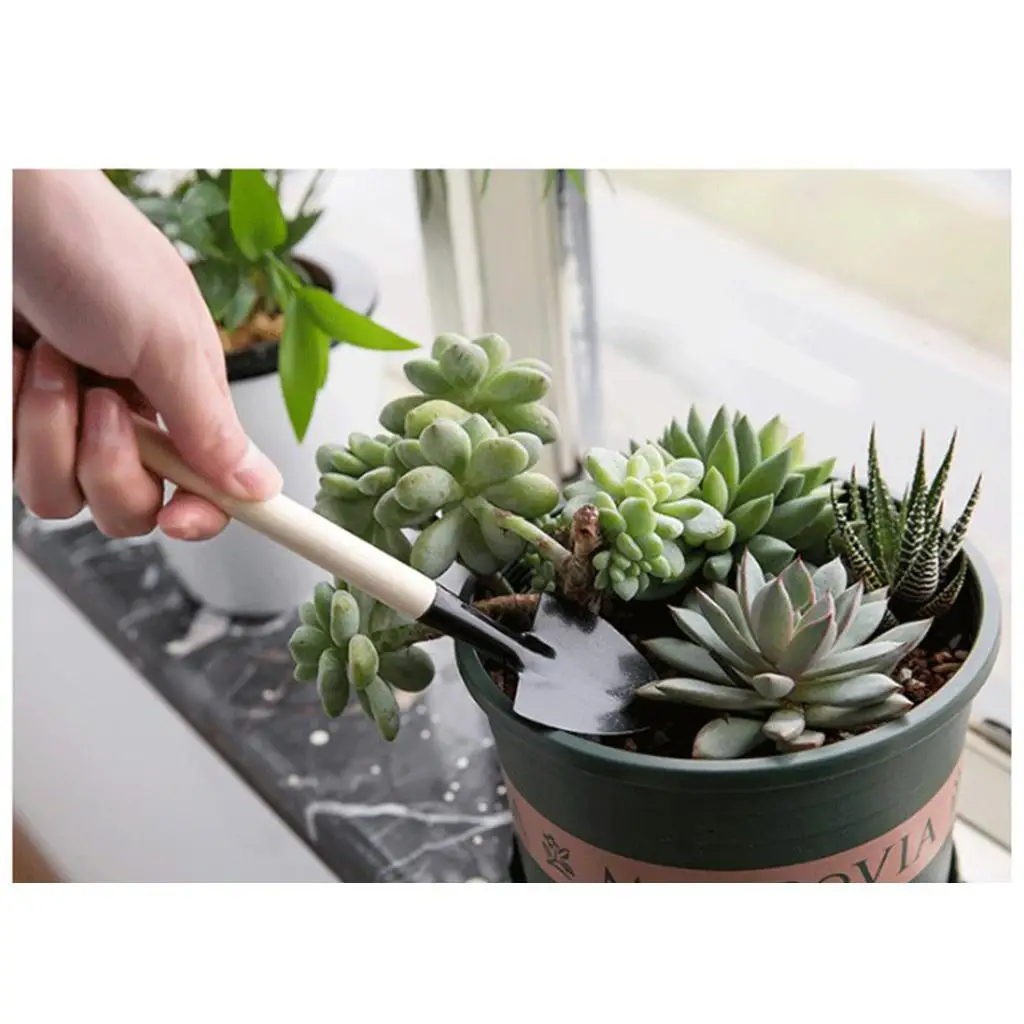 

Garden Hand Tools Mini Succulent Planting Gardening Tool Set Shovels and Rakes Bonsai/Plant Potted Garden Tool Kit