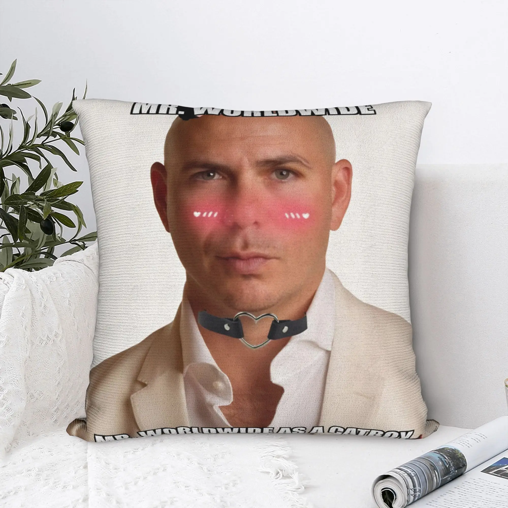 Warm Living Room Singer Pitbull Tour 2026 Decorations Pillowcase Merch  Pillow Cover Square Multiple Sizes