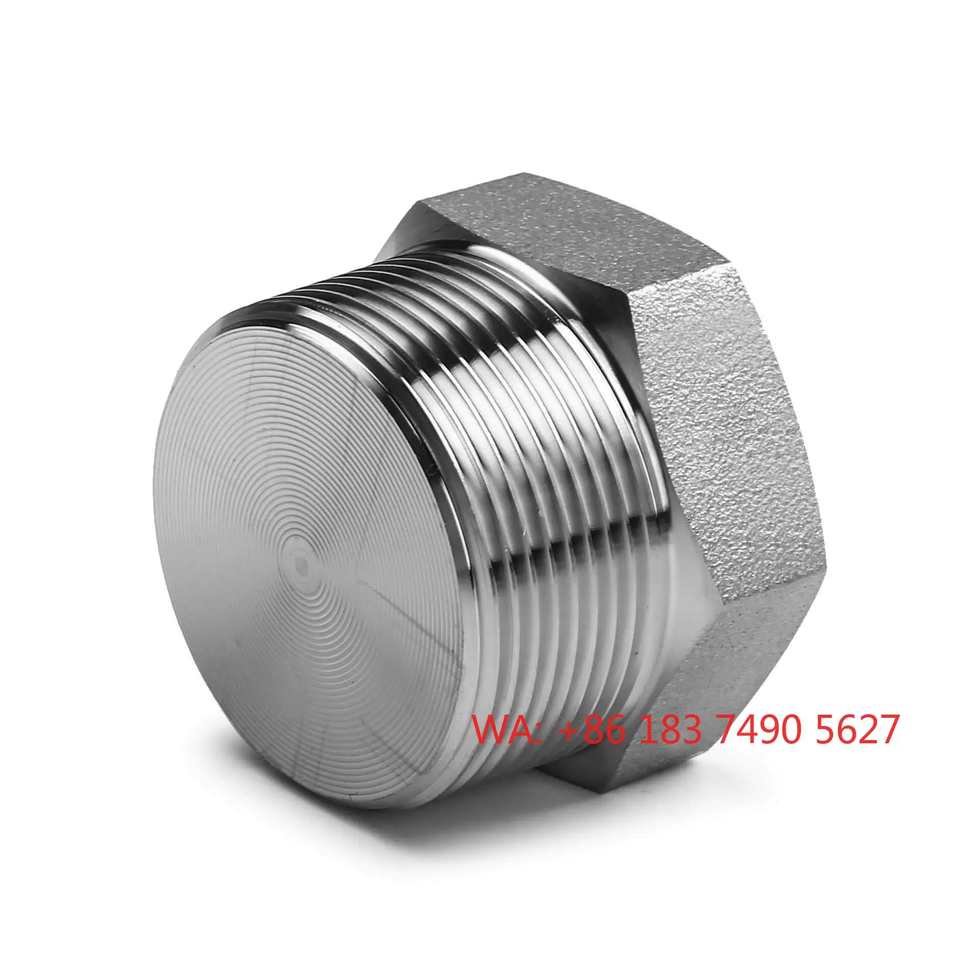 3000LB high voltage hexagonal plug BSPT/NPT 4-inch C276