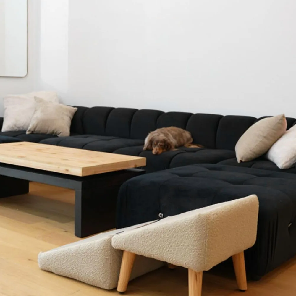 Thumbnail 3 - #5 Trending Puppy Ramps Right Now