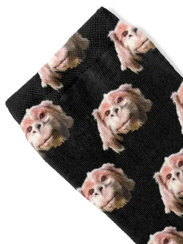 Falkor a Luck Dragon Premium Socks cotton hiking set professional running Socks Women's Men's