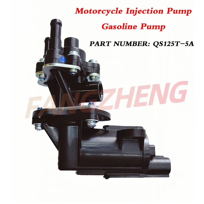 Motorcycle Accessories QS125T-5A Injection Pump PDP Fuel pump FOR Motorcycle Light Riding Suzuki Haojue Reimu Motorbike Parts