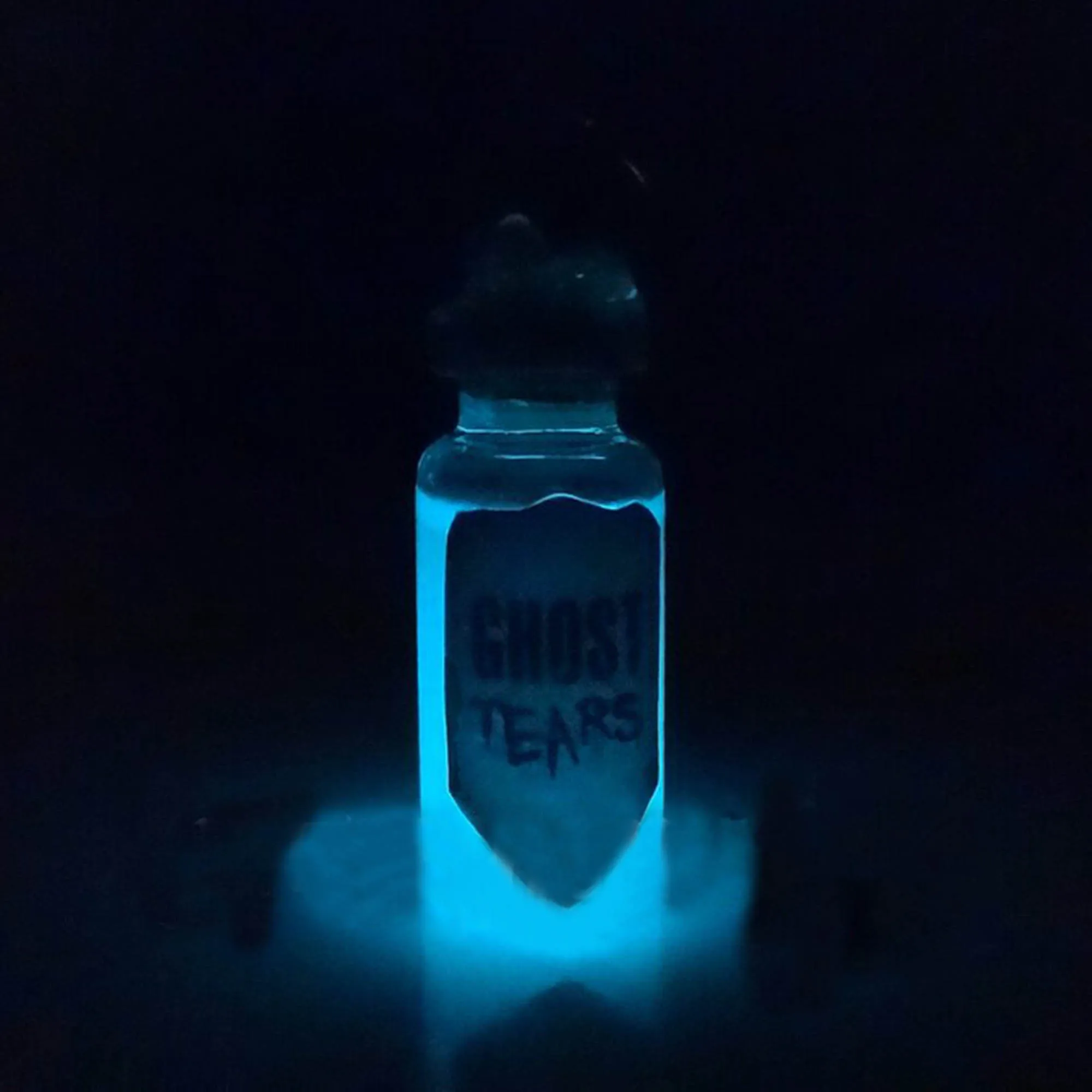 Ghost Tears Glow in the Dark Glass Bottle Necklace Haunted Glowing Necklace Potion Vial Charm Liquid Shimmer Magic Spells Occult