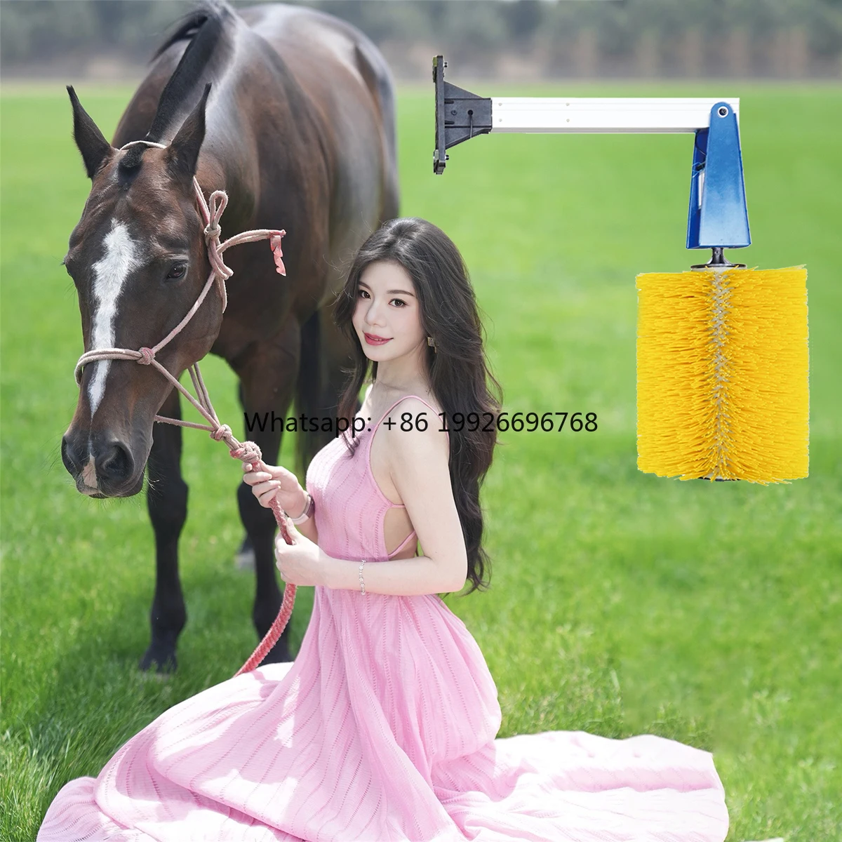 

Wholesale Cow Scratching Electric Cow Brush for Cleaning Body Machine to Improve Cattle Body comfort