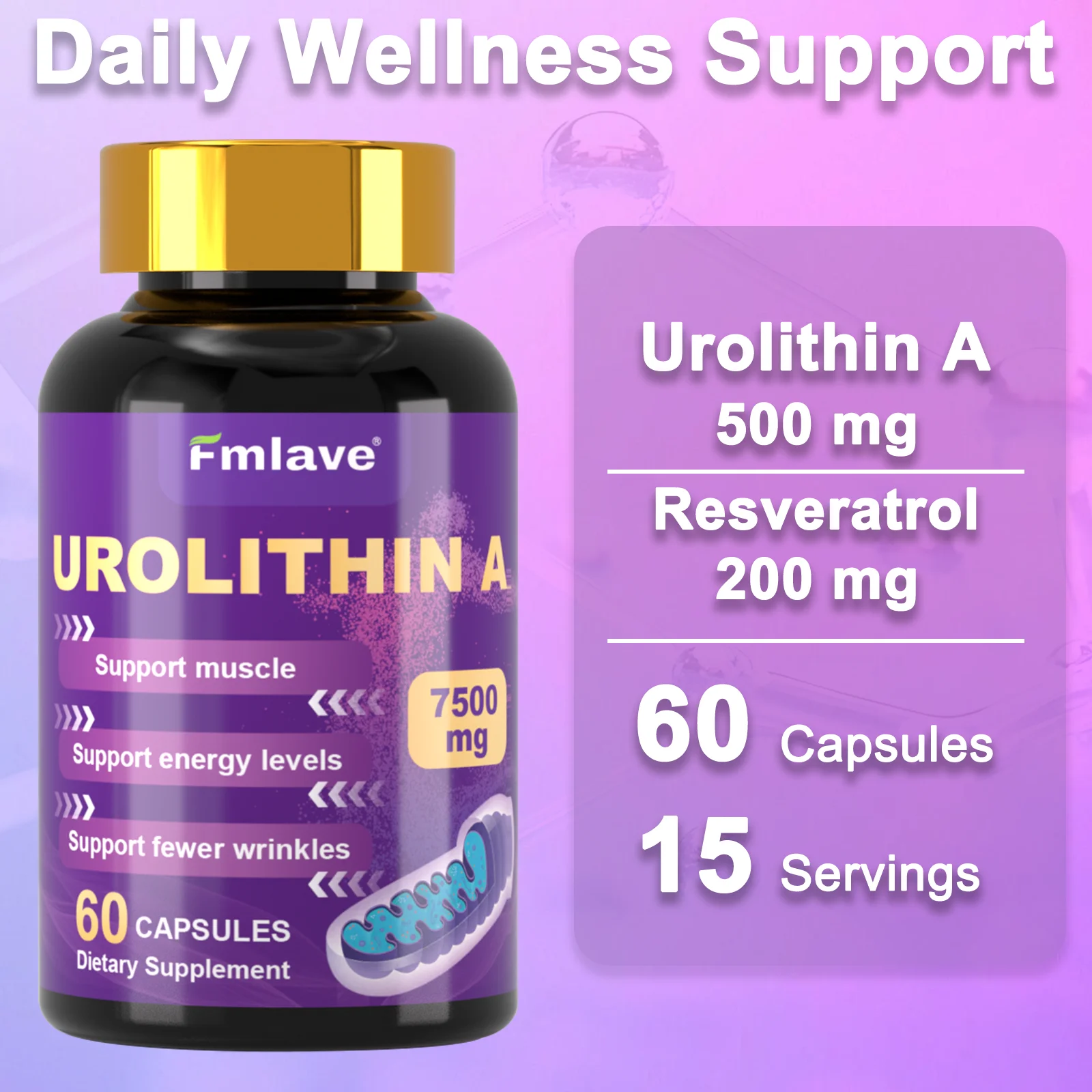 Fmlave Urolithin A Supplement with Trans-Resveratrol & Ubiquinol –12-in-1 Formula for Cellular Energy &Mitochondrial Support