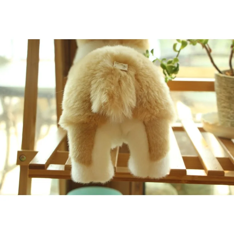 Peluche Corgi da 32 cm, Simpatico Cane di Simulazione, Giocattolo Morbido per Bambini, Regalo di Compleanno, Decorazione, Collezione, Brinquedos