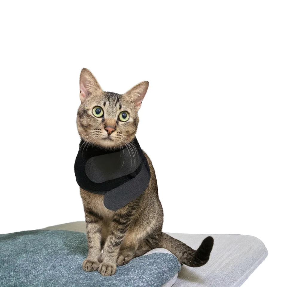 Infrared Light Therapy Apparatus Veterinary Therapeutic Equipment for Cats Dogs for Veterinarians