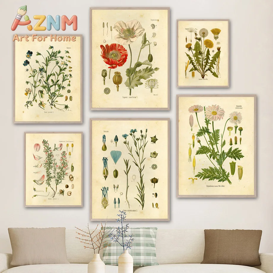 Vintage Botanical Wall Art Antique Floral Prints Retro Poppy Daisy Dandelion Posters for Boho Living Room Bedroom Kitchen Decor