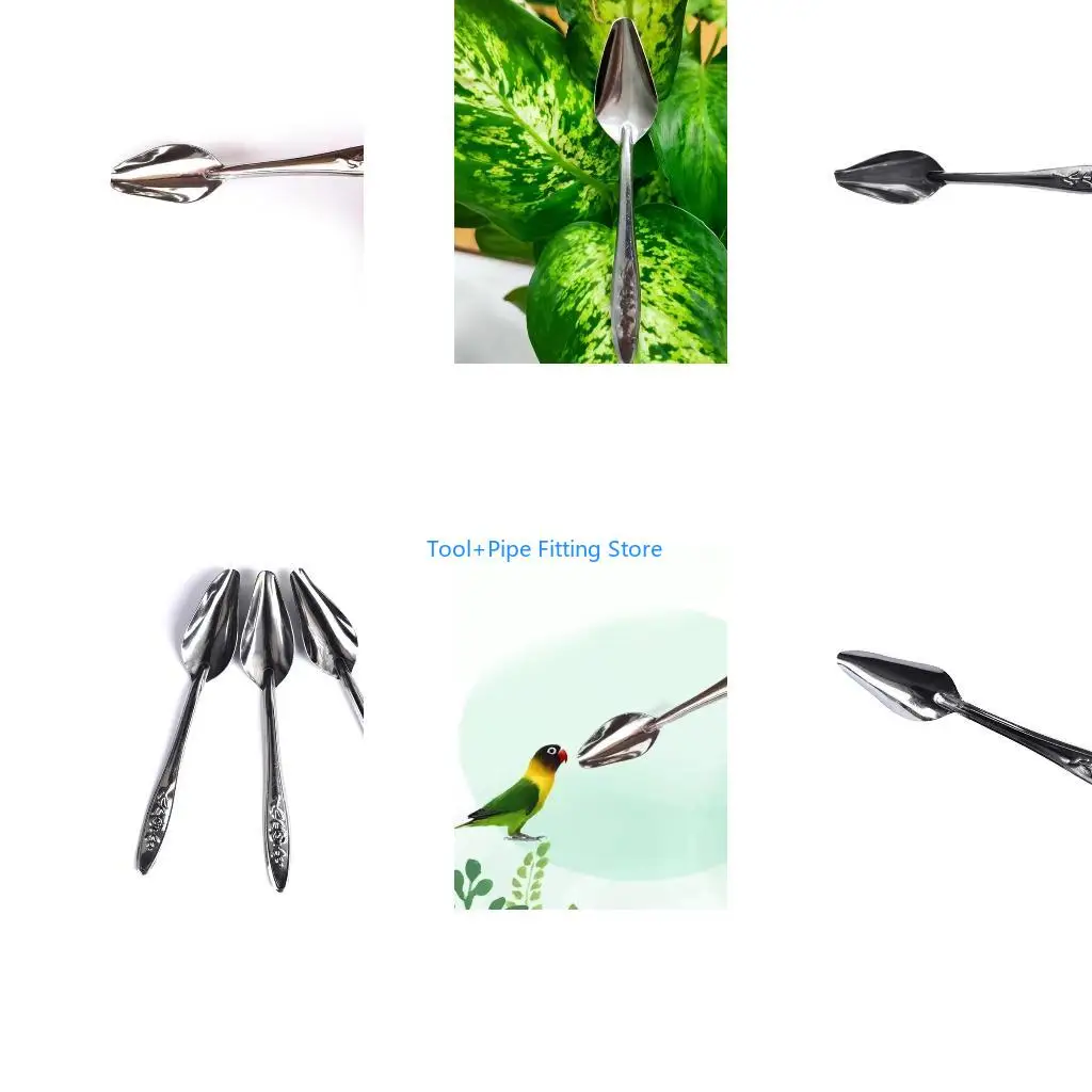 F92B F92B Parrot Metal Feeding Spoon Stainless Steel Feed Milk Water Hand Feeder Spoons for Peony Cockatiel Small Bird - Aliexpress Deal