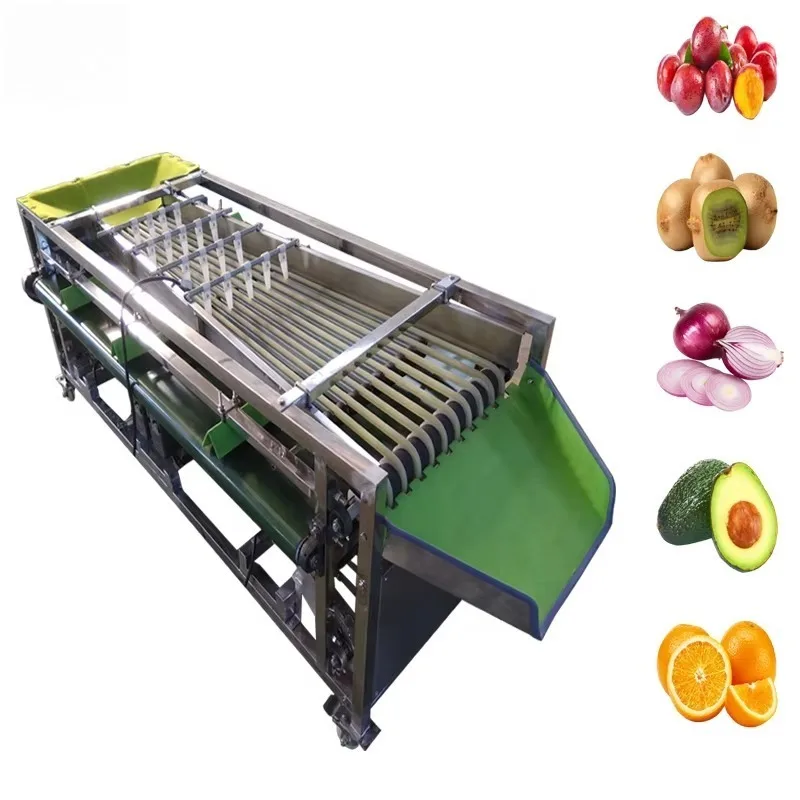 DZJX Date Cleaning and Sorting Machine Vegetable Citrus Fruit Carrot Cherry Grading Machine Coffee Cherry Sorter Sort Machine