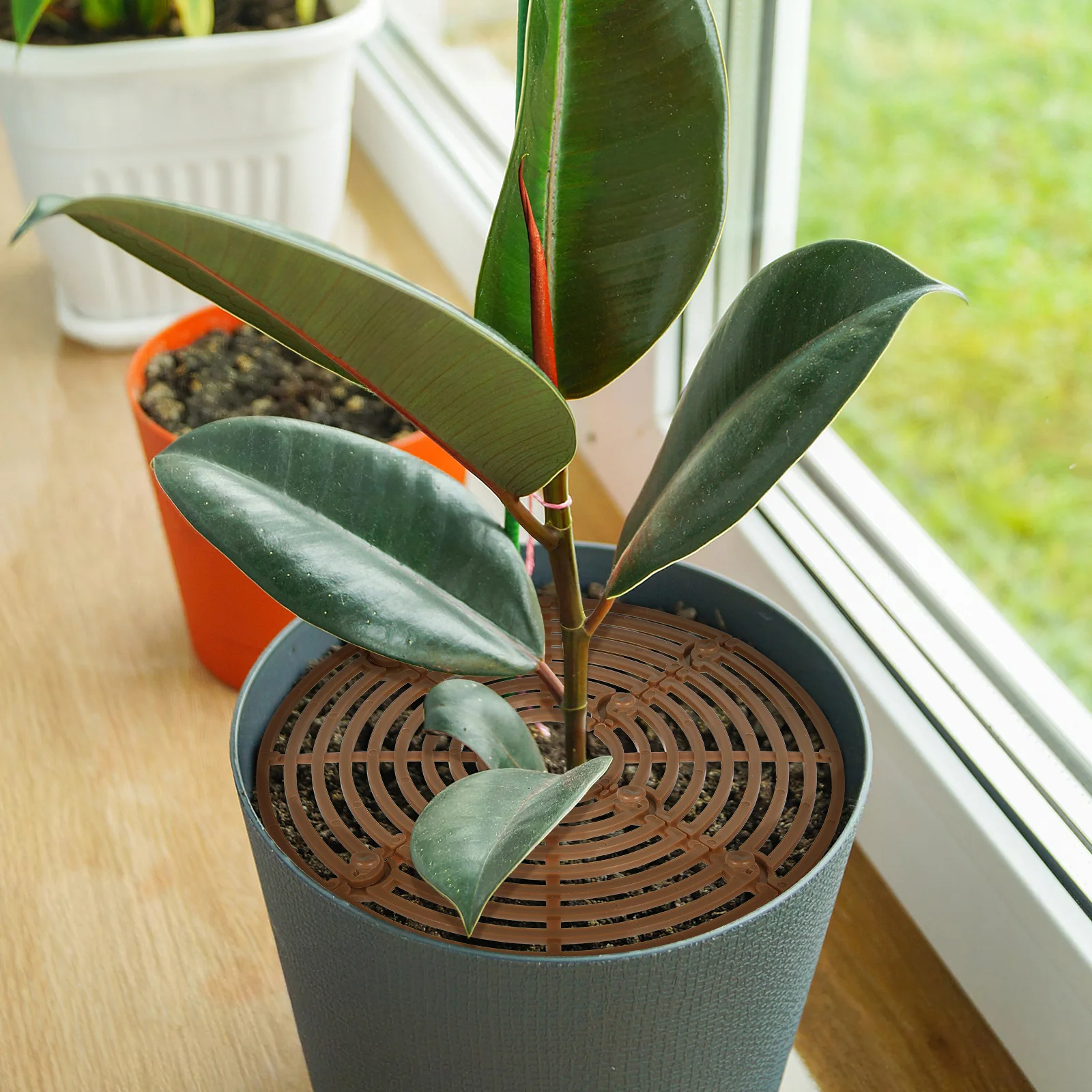 2Pcs Flowerpot Soil Protector Plastic Plant Pot Cover Wear Resistant Garden Flower Pot Cover Cats Digging Stopper