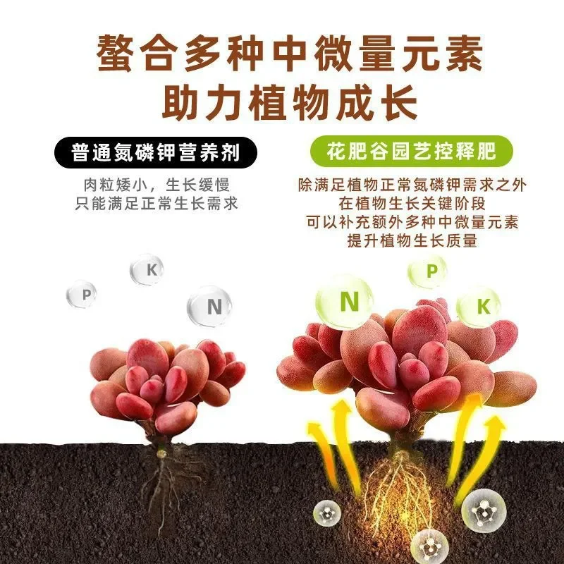 Family Succulent Controlled Release Horticultural Compound Nitrogen Phosphorus Potassium Green Plant Universal Fertilizer