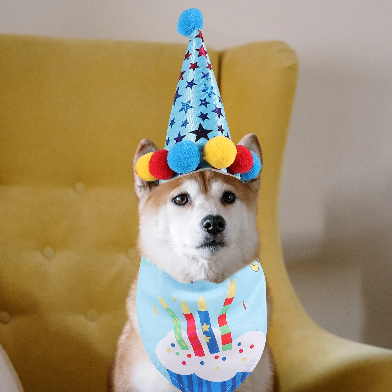 

Pet Birthday Set Adjustable Collar Hat Celebration Favors Dog Hat Pet Necklace Decor Dog Collar Pets Supplies