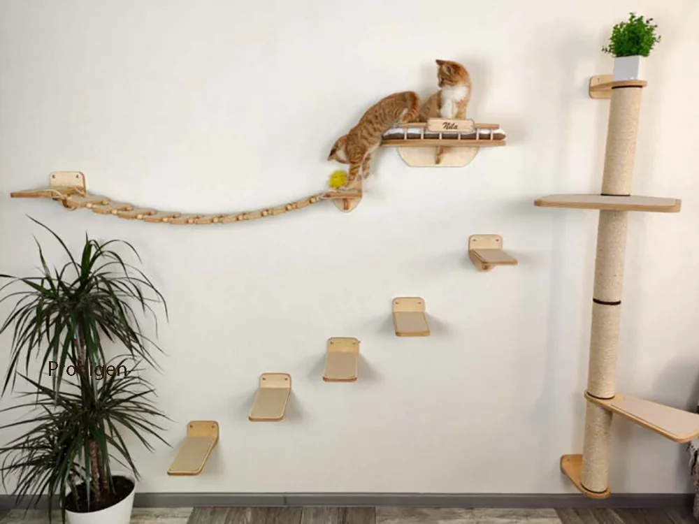 Imagem -04 - Rede de Gato de Madeira Maciça de Parede com Arranhador Escada de Escalada Móveis para Atividades de Gatos Indoor