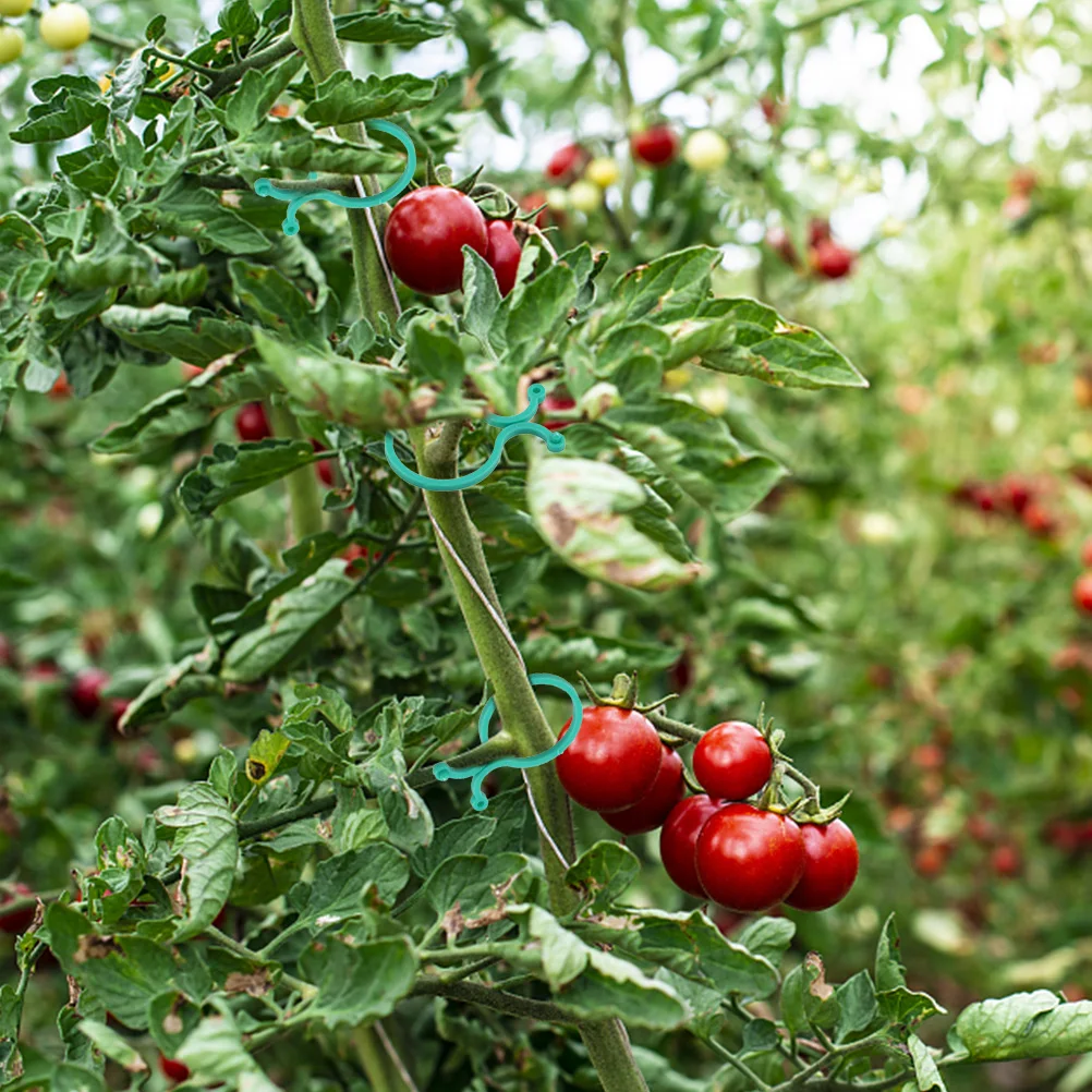 

100 шт. пластиковых зажимов для растений, садовые принадлежности, держатели для вьющихся растений, соединители для поддержки растений, для проращивания цветов и овощей