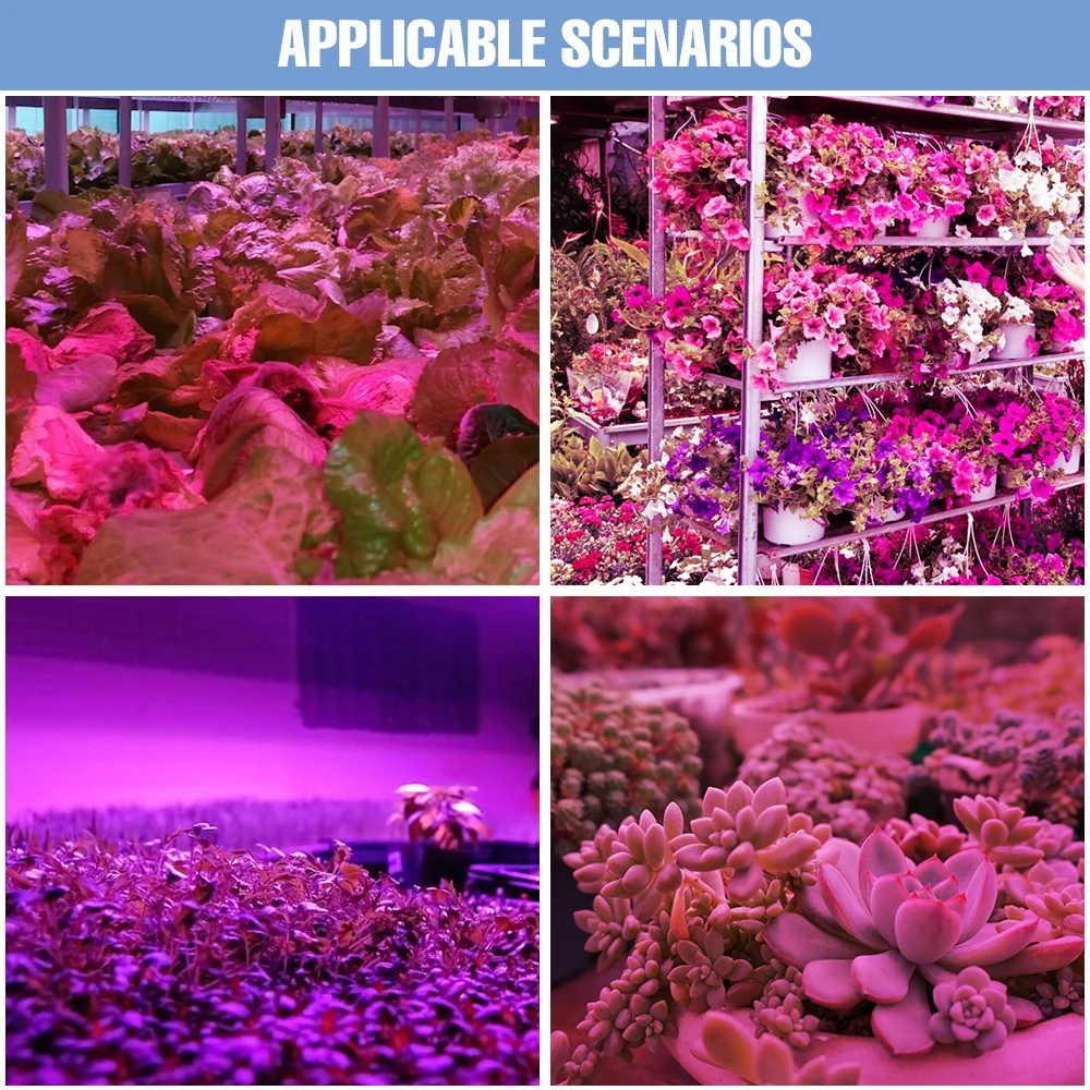 200 واط LED الطيف الكامل تنمو ضوء 220 فولت الدفيئة النبات مصباح خيمة الخضروات داخلي زهرة عصاري الصبار زراعة الإضاءة