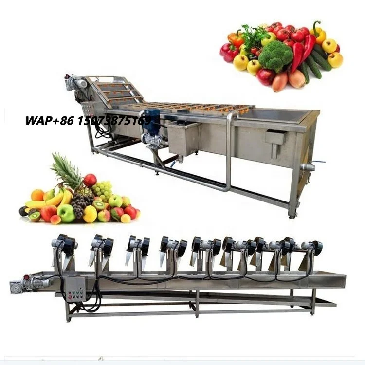 Automatic Vegetable Washing Machine Processing air Drying Vegetable Fruits Mushroom Bubble Washing Line Cleaning Machine