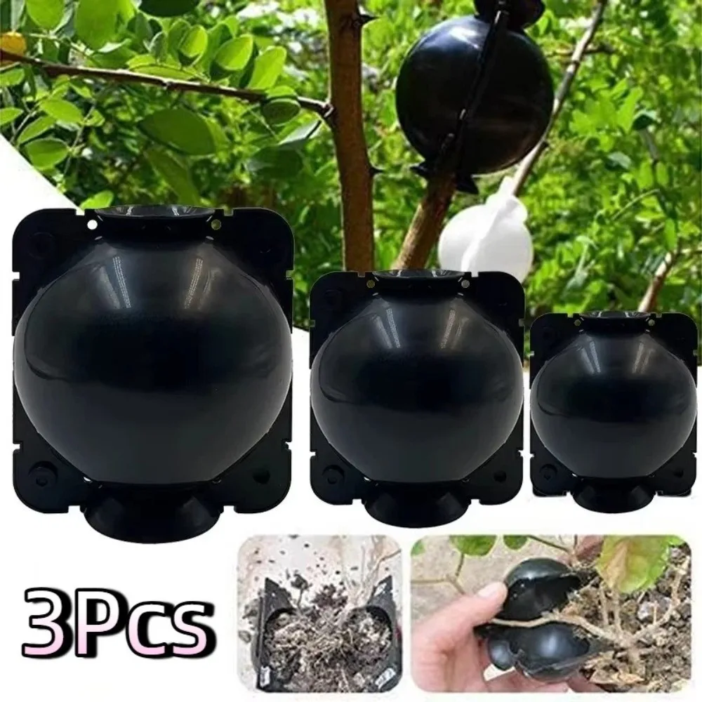 3Pcs Fast Propagation Grafting Rooting Box Safety Locks Plastic Plant Root Growing Box Plant Root Device Hydroponics