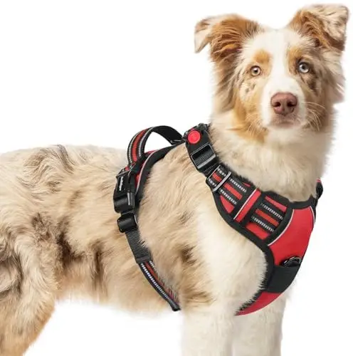 

Поводок-шлейка для средних собак, регулируемый жилет с ручкой, светоотражающий дизайн, красный цвет.