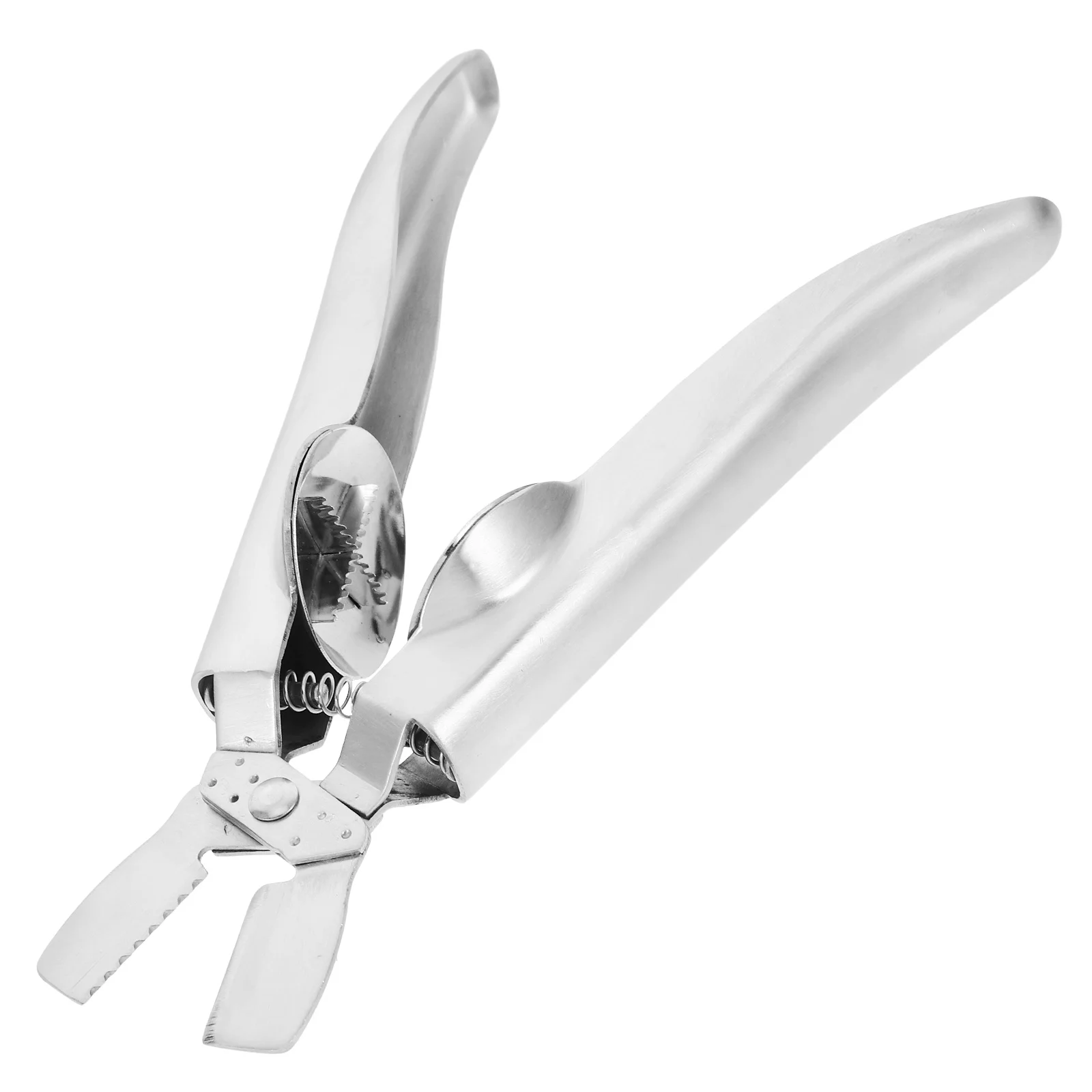 

Stainless Steel Chestnut Opener 304 Heavy Duty Nut Cracker Tool for Chestnuts Walnuts Pecans Hazelnuts Dried Fruit Sheller