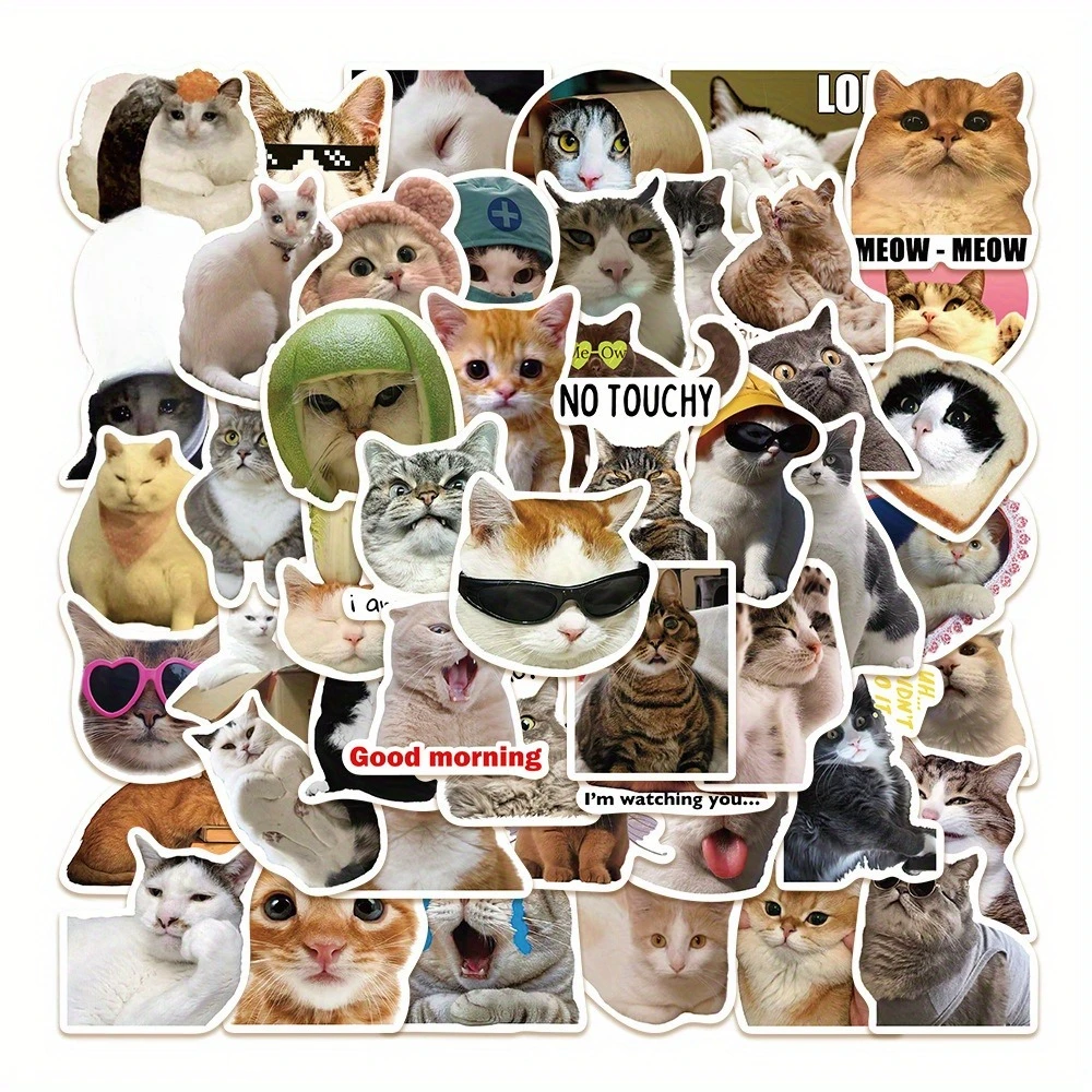 Lot de 50 autocollants décoratifs à l'effigie de chats, pour valise, bouteille d'eau, carnet, skateboard, autocollants autocollants
