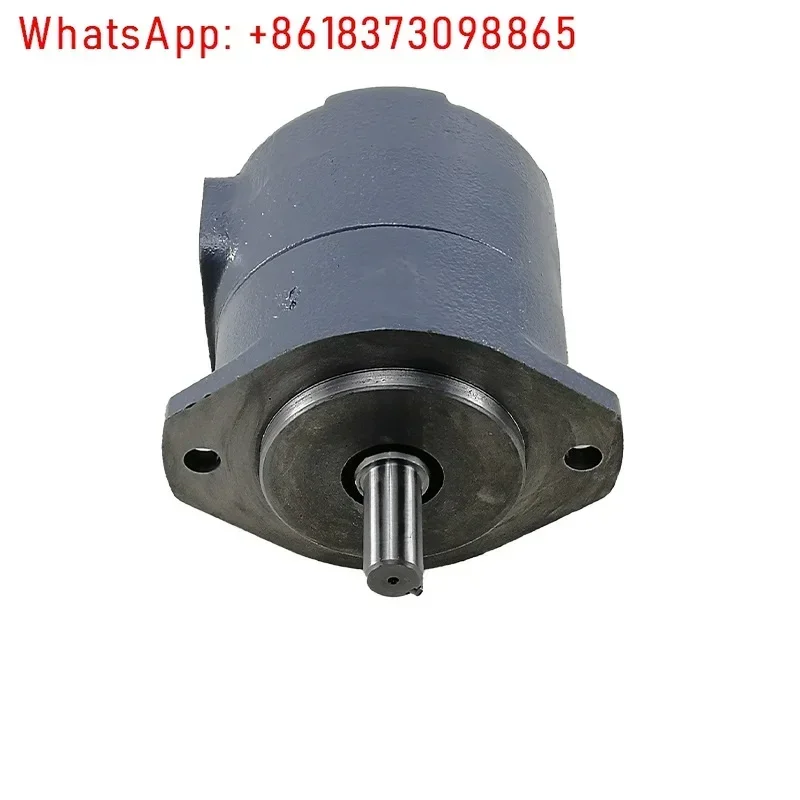 Meter vane pump SQP2-19-1D-18 SQP2-21-1D-18 SQP3-17-86A-18 oil pump