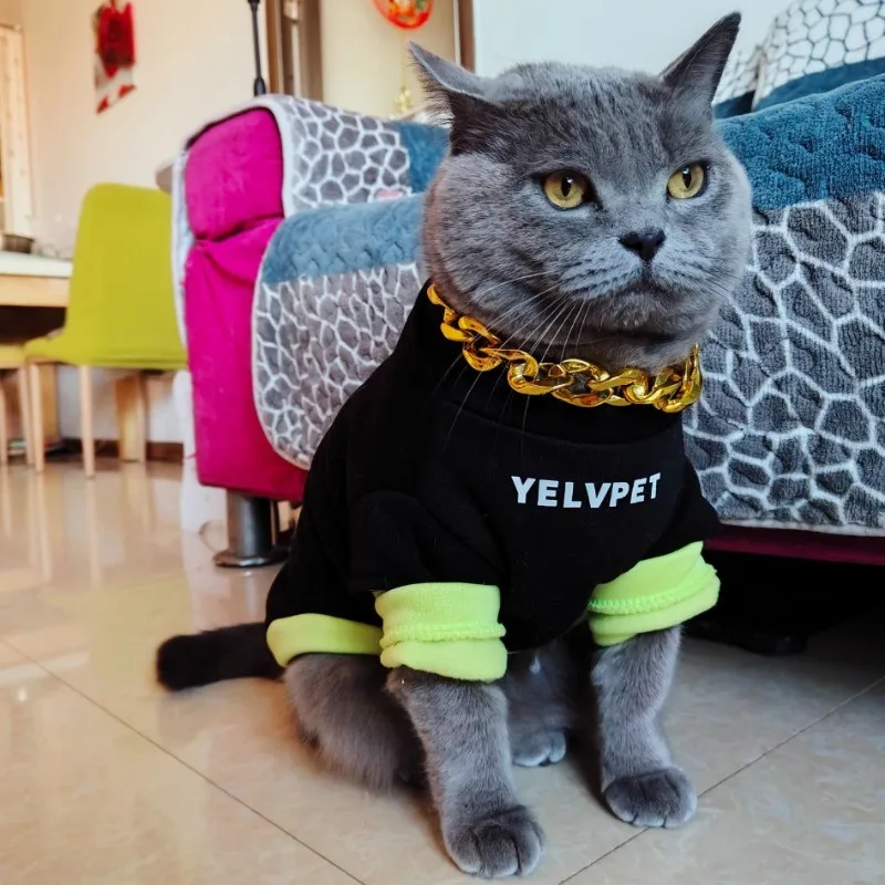 الشتاء الخريف والشتاء القطط الكلاب موضة الملابس دوول الأزرق المضادة للتساقط كلب صغير Schnauzer الحيوانات الأليفة الصوف بلوزات