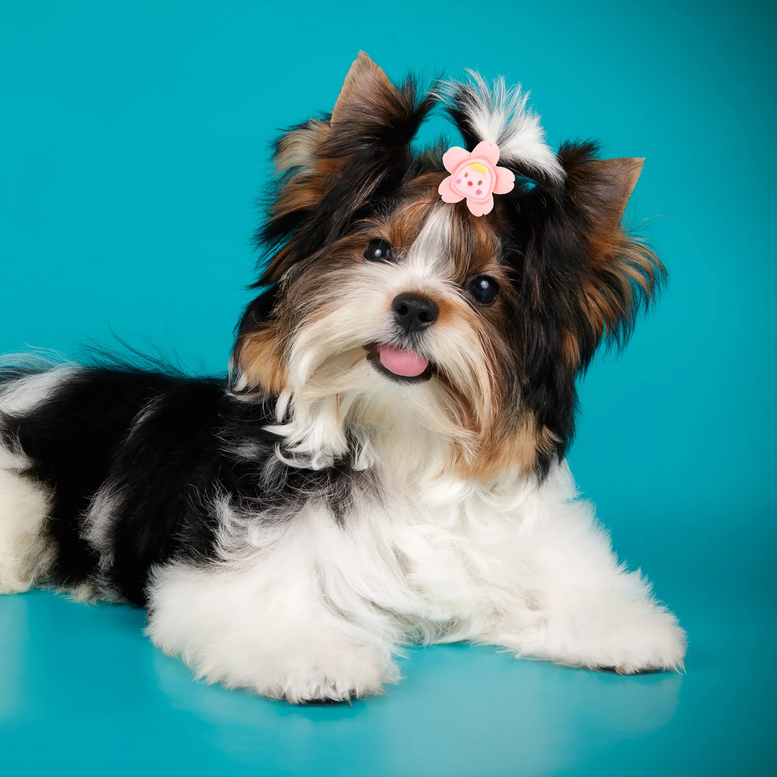 

10pcs Pet Hair Ties For Dogs Cats Soft Durable Stylish Decorative Hair Accessories Party Dog Headdress Rubber Bands