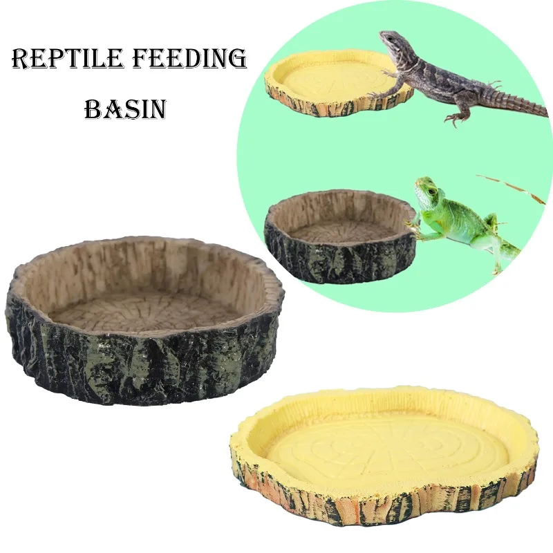 #39 Compare Reptile Water Bowls Before You Buy