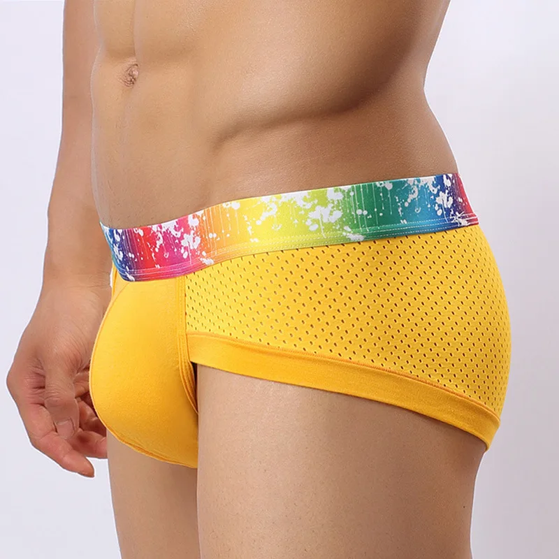 Men Fashion Sexy Gay Classic Men's Briefs New Male Sleepwear Panties Low Waist Underpants Modal Underwears Briefs