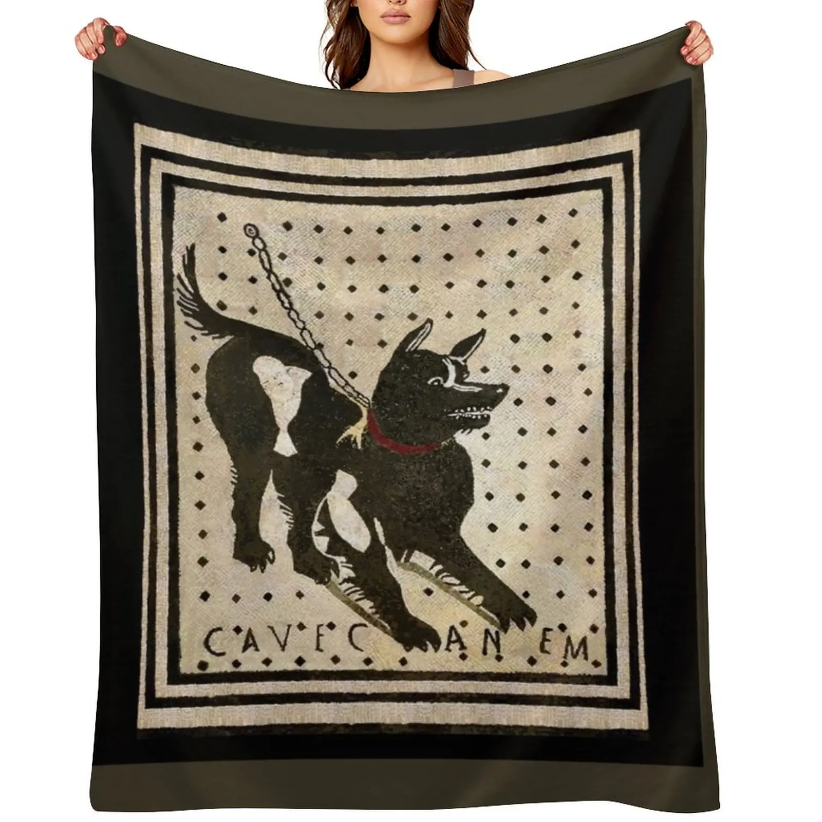 

Beware of dog ( Pompeii dog mosaic ) Throw Blanket Sofa Throw Summer Beddings For Sofa Thin Soft Plush Plaid Blankets