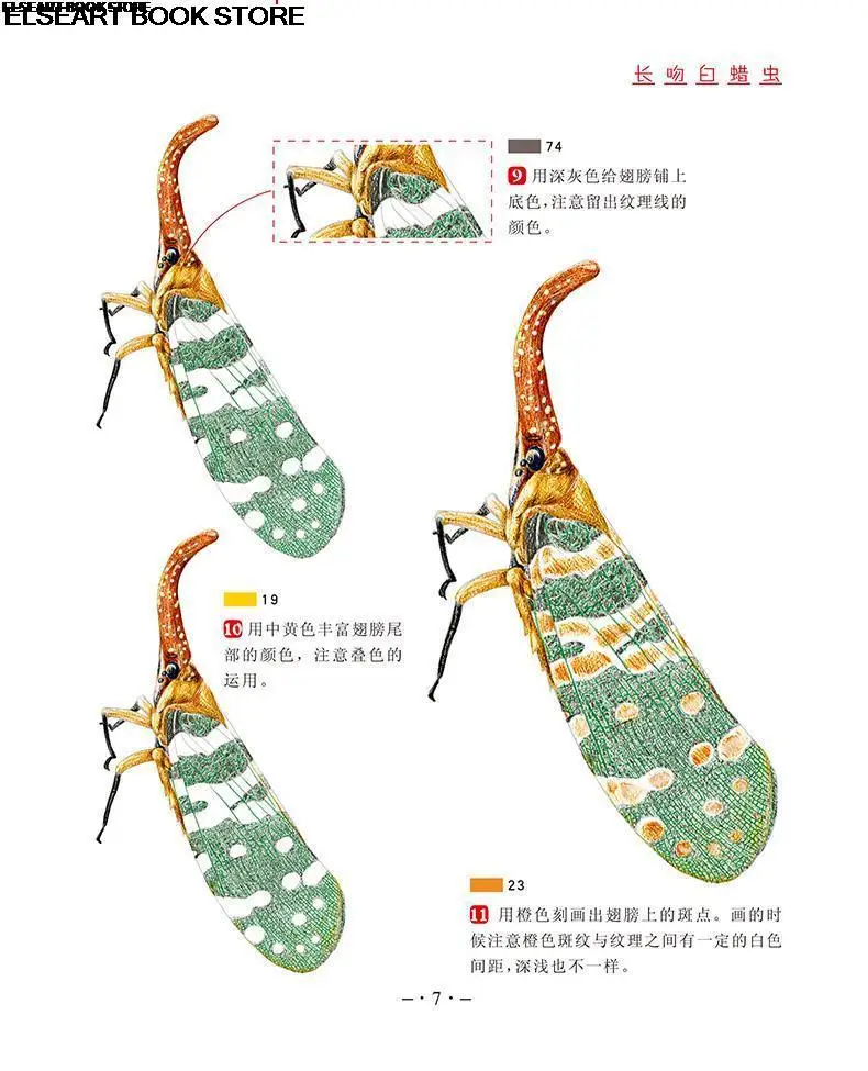 Color pencil techniques insects proficient in painting techniques sketch step-by-step detailed analysis of painting books