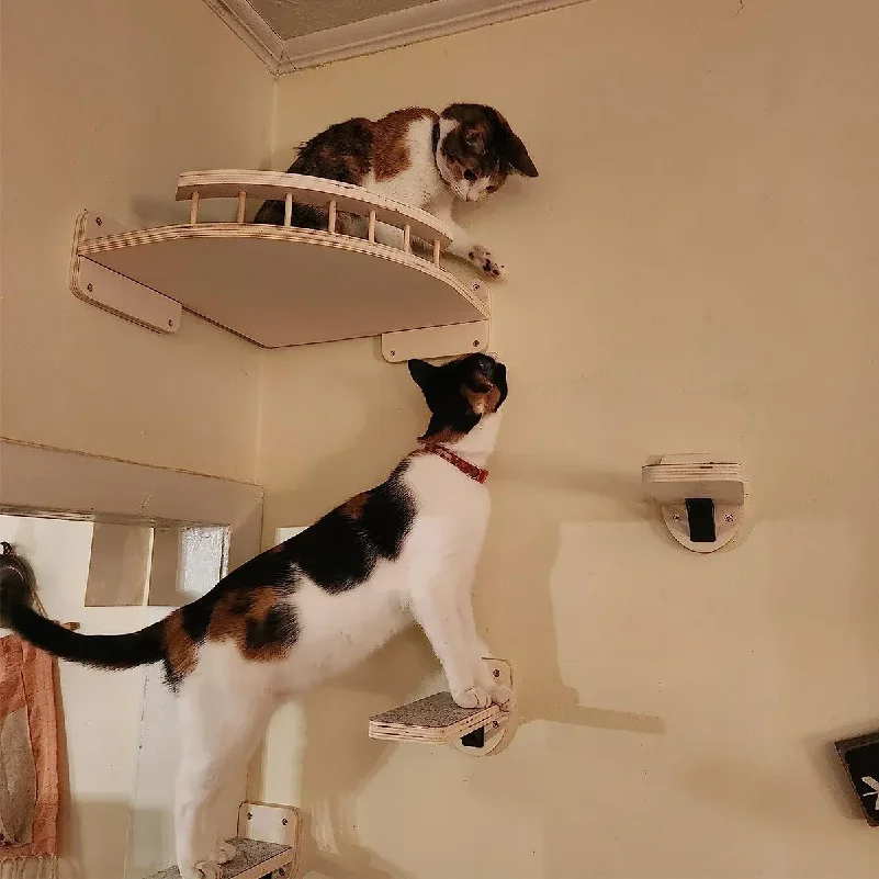 Estantes de Pared para Gatos,  - Cat Wall Climbing Shelves Hammock Wooden reseña y precio