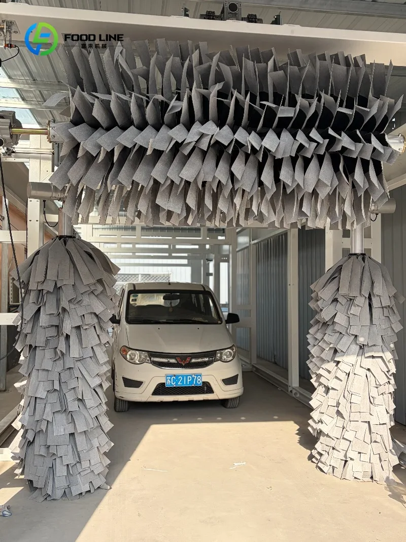 Customized Top Advanced Self service payment system car washing machine Tunnel system car washing machine With 16brushes