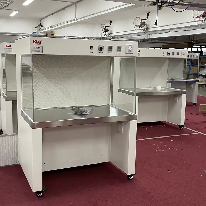Professional Custom Horizontal Laminar Flow Cabinet Workbench Clean Bench for Laboratory Industrial Use High Efficiency Air