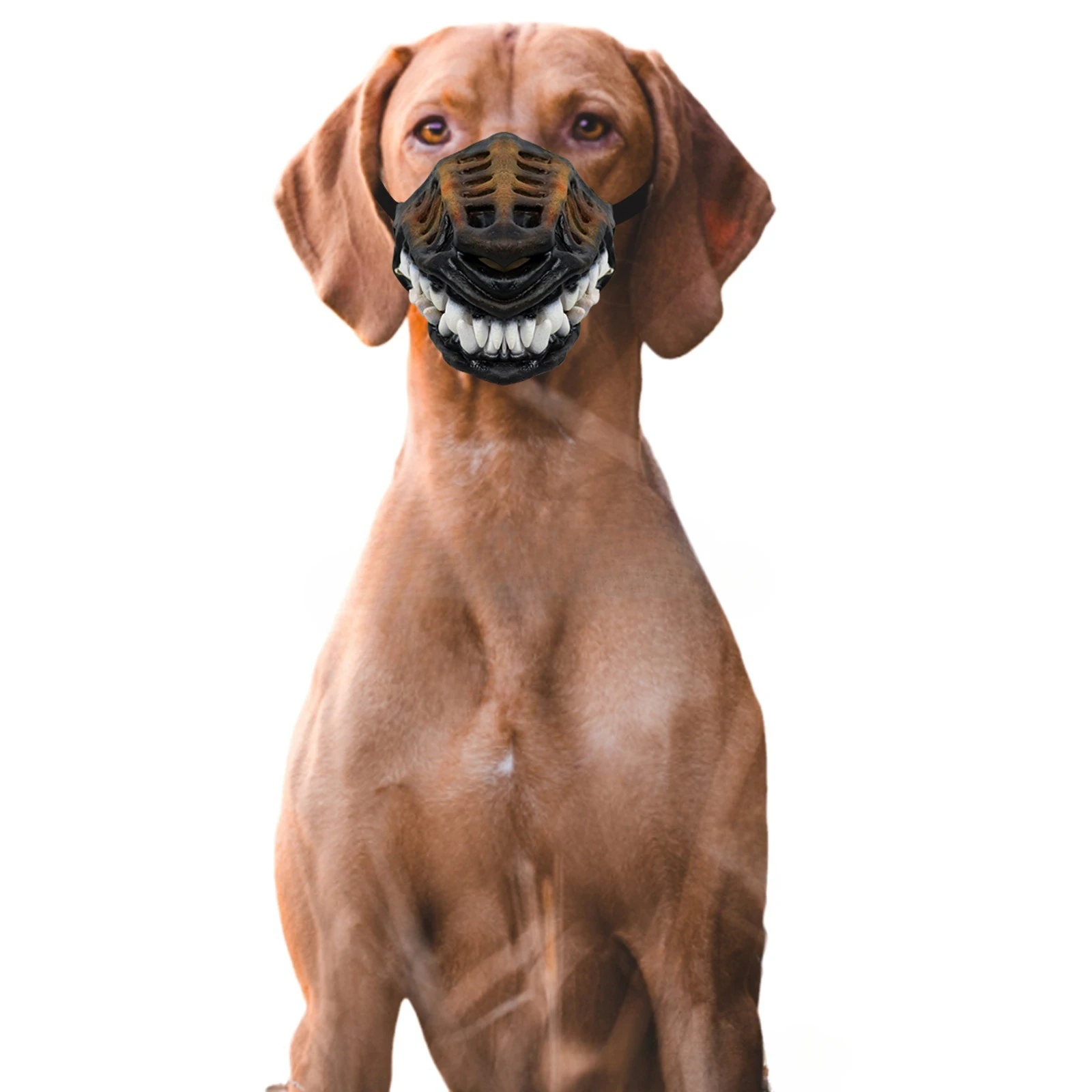 Halloween Costume Zombie Dog Mask Pitbull Spooky Pup Muzzle Creepy Dog Muzzle for Dogs Waterproof Muzzle Scary Dog Safty Muzzles