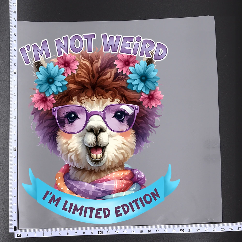 25CM Sarcastic Letter Animal Dog Cat Alpaca Transfer Patches For Clothes DIY A-Level Washable Shirt Iron-on Thermal Stickers