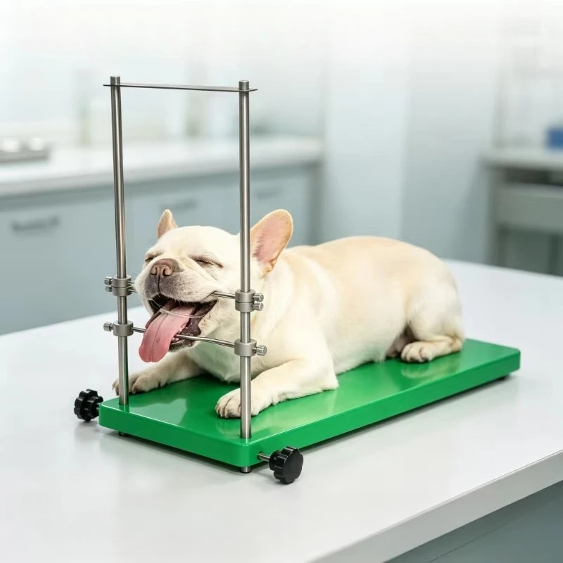Adjustable Stainless Steel Small Animal Oral Restraint Stand Pet Exam Mouth Gag Platform