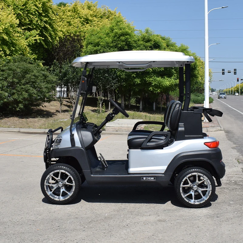 Metallic Color Electric Golf Cart Factory Price Car Accessories Customized Factory Prices 2 Seater